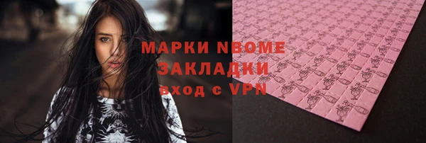 дурь Бородино