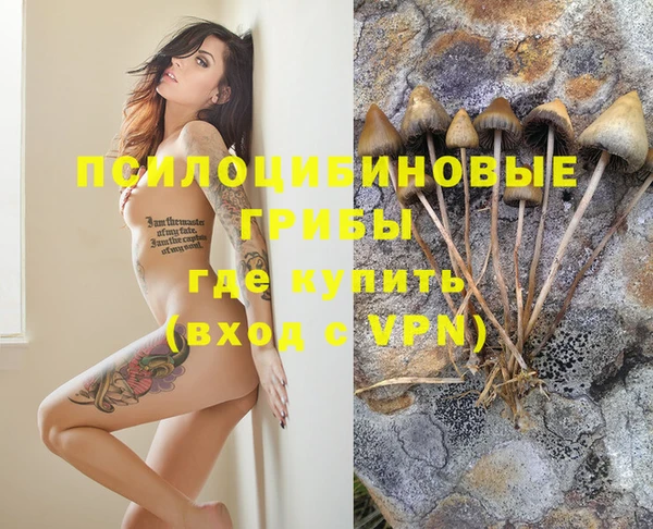 мдпв Бронницы