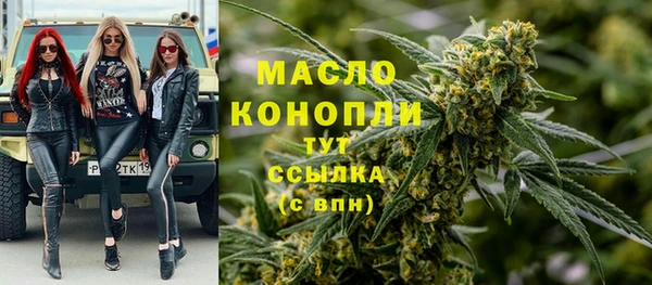 дурь Бородино