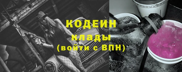 индика Сафоново