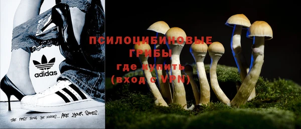 мдпв Бронницы